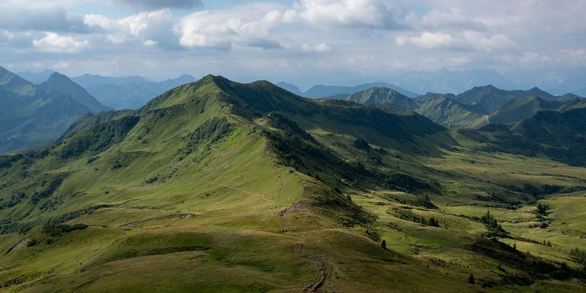 An image of a wildlife-rich Topslip, one of the best hill stations near Coimbatore.