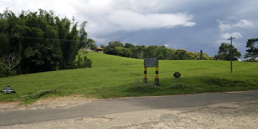A picture of Topslip, one of the most wildlife-rich hill stations near Thanjavur.