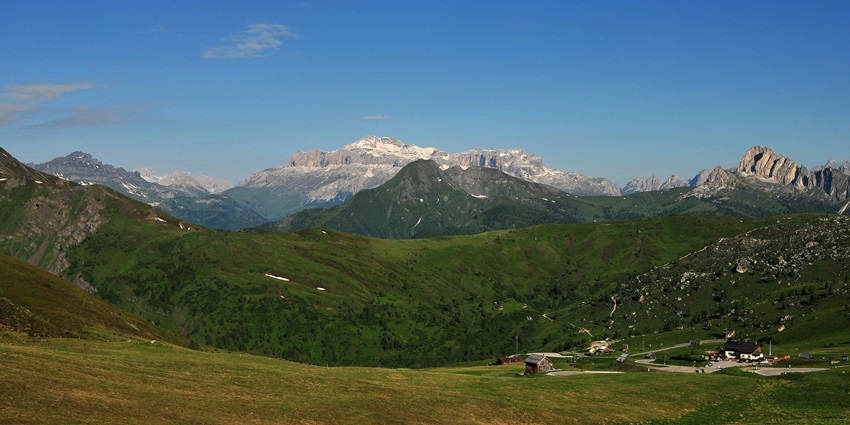 An image of Doddabetta Peak mountain with a layer of trees with dark green needles