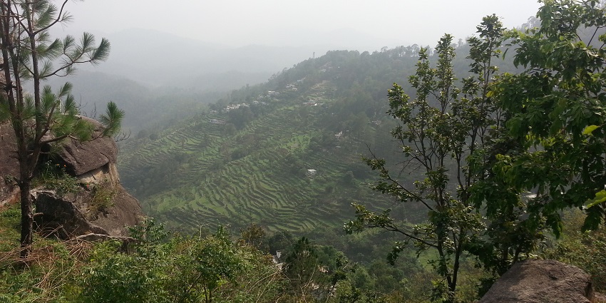 The best things to do include trekking paths.