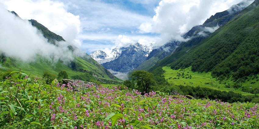 Trekking to Guano Hills is one of the best things to to in Pangot for adventure lovers.