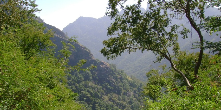 Trekking to Kolli Hills is one of the unique things to do in Tamil Nadu for adventure lovers.
