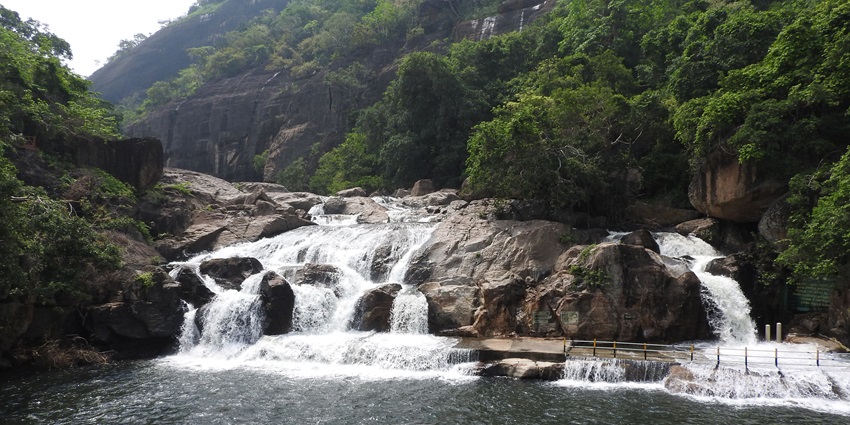 Trek to the majestic Manimuthar Falls and enjoy exploring its dense forest area.