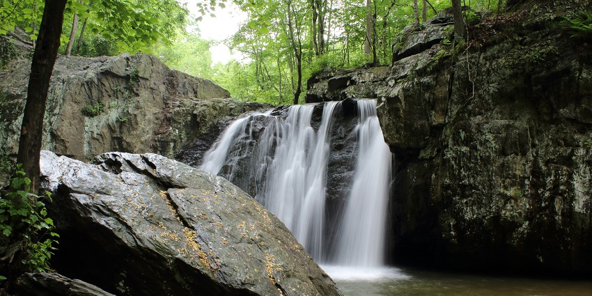 A picture of Thekkanthottam Falls showcasing the serene surroundings and lush greenery.