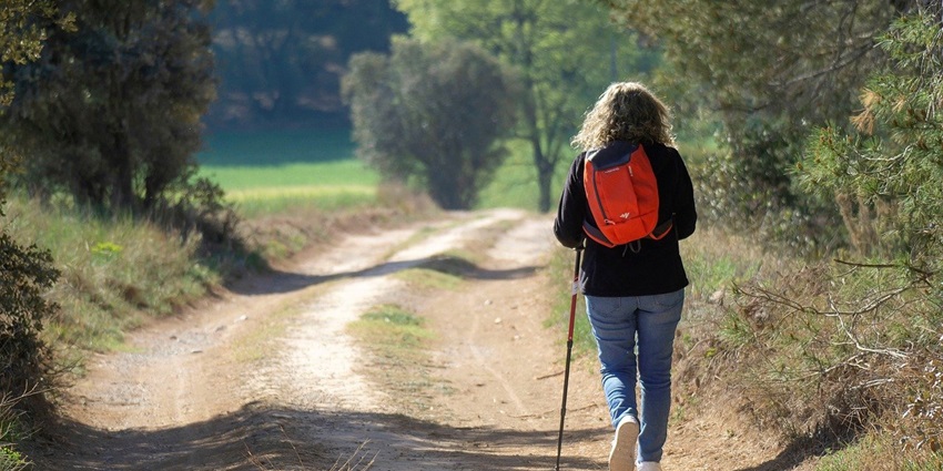 Scenic trekking trails in Ganesh Gully offer a unique view and experience to trekkers.