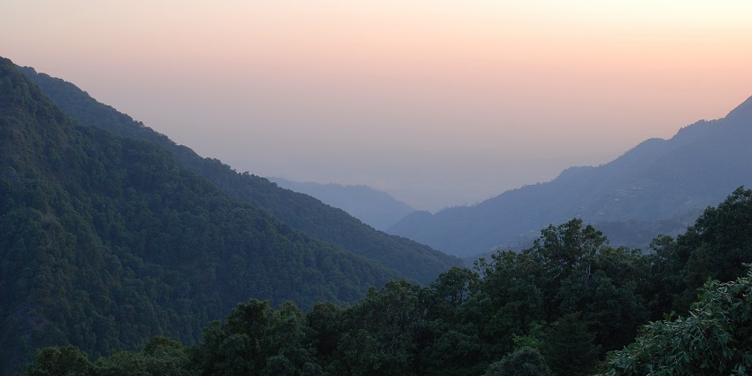 The best things to do in Jim Corbett include trekking trails amidst rich flora and fauna.
