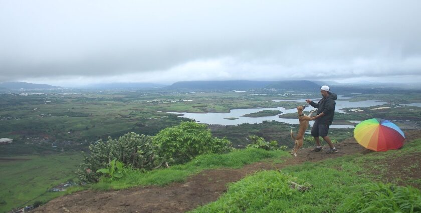 A scenic picture of a man with his dog trekking in Maharashtra amidst the most scenic monsoon.