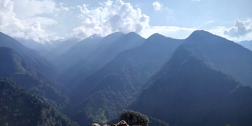 Explore the tranquil beauty of nature amidst lush greenery in Triyuginarayan Temple