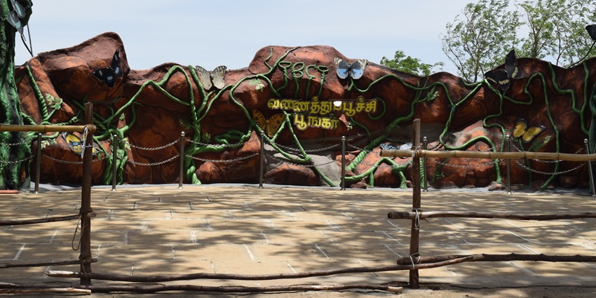 An amazing view of the Tropical Butterfly Conservatory in Tamil Nadu for travellers.