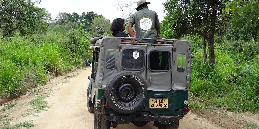 A picture of Tungareshwar Wildlife Sanctuary–also perfect for Jungle safaris in Mumbai