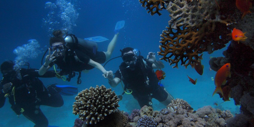 A picture of Tungarli Lake, one of the best beginner-friendly spots for scuba diving in Mumbai.