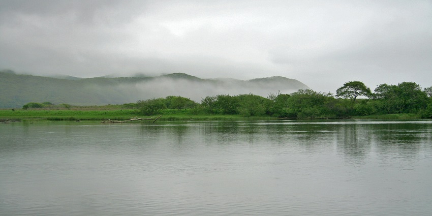A picture of a quaint river near the Kondeshwar Temple with greenery in the background