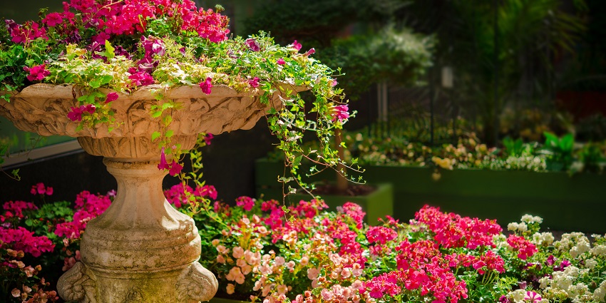 A family-friendly view of Pine Children Park, a great place to visit with your loved ones.