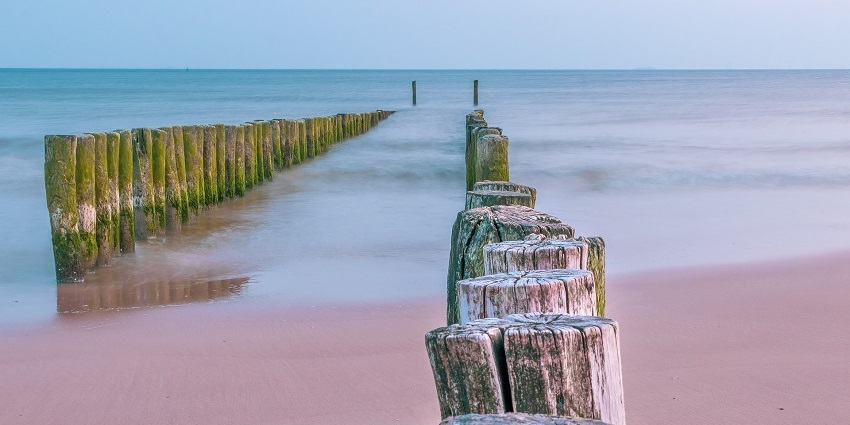 An image of Vadanappally Beach, contributing to the charm of nature's beauty.