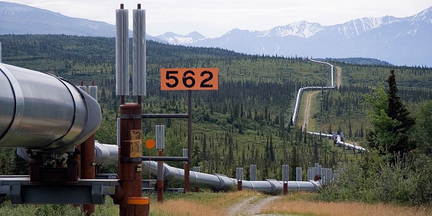 Trans-Alaskan pipeline system stretching across several miles amidst trees and grassland.