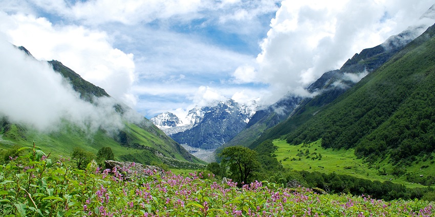 A UNESCO site famous for camping and trekking in Rishikesh with vibrant alpine blooms and biodiversity.