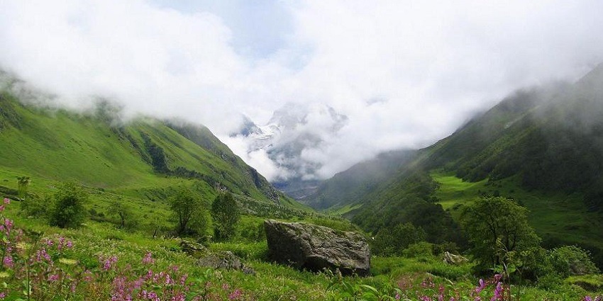 A picture of Valley of Flowers, one of the best National Parks in Uttarakhand.