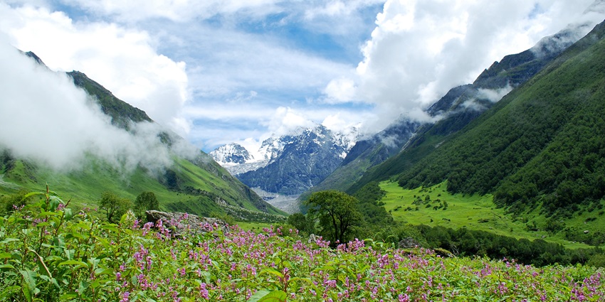 Colourful alpine flowers and rich biodiversity in stunning scenery.