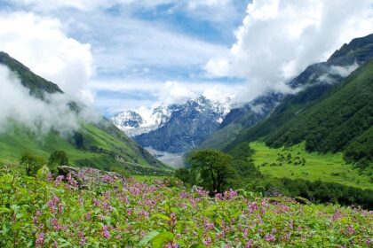 An enchanting vista of lush greenery, peaks and colourful blooms in Uttarakhand.