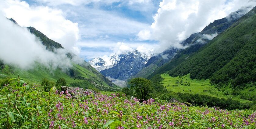 An enchanting vista of lush greenery, peaks and colourful blooms in Uttarakhand.