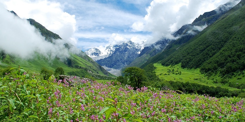 Valley of Flowers, is one of the valleys in Uttarakhand that features diverse flora and fauna.