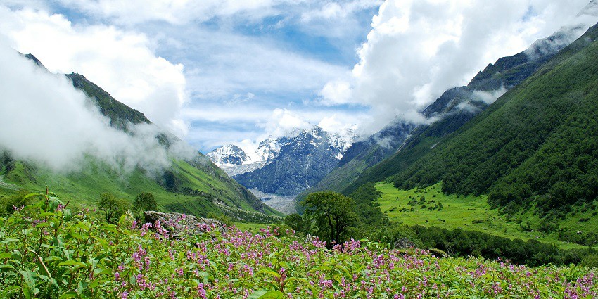 Valley of Flowers is a stunning national park, known for its alpine flowers and scenery.
