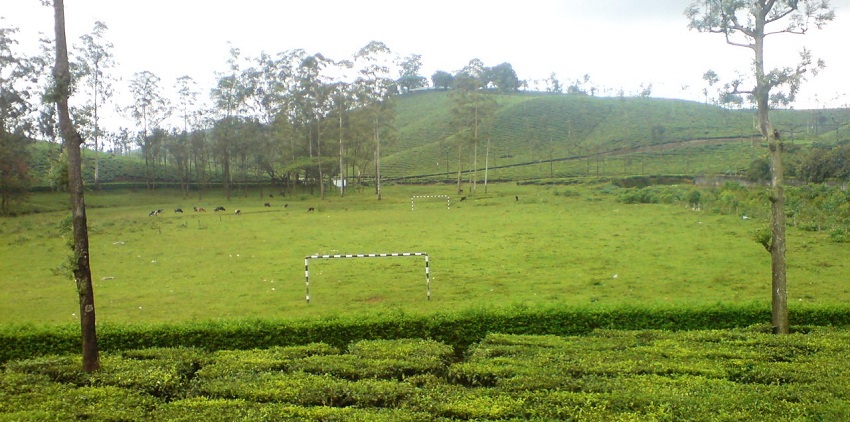 A picture of Valparai’s tea plantations and mountains, a stunning Tamil Nadu hill station.