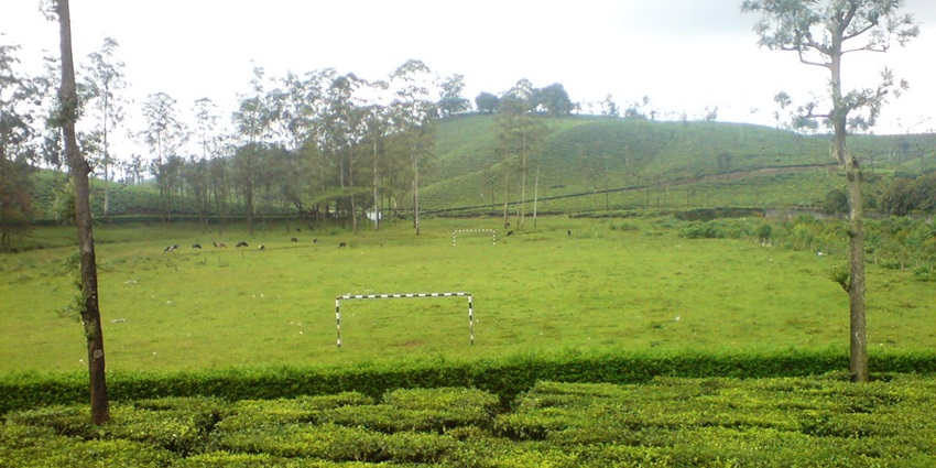 A picture of Valparai, a serene hill station surrounded by tea plantations and misty hills.