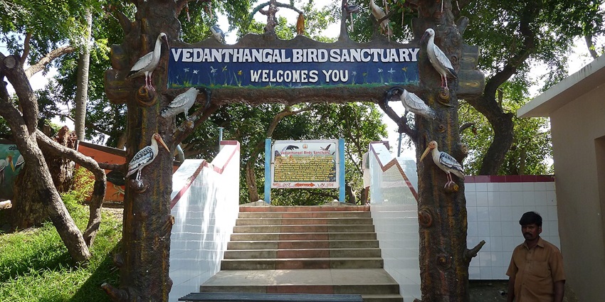 Entrance gate of Vedanthangal Bird Sanctuary amid greenery in Kancheepuram district