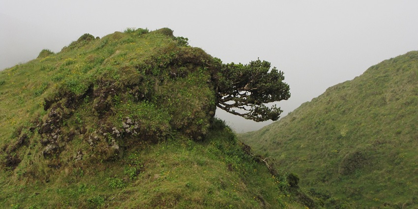 An image showing a view of Velliangiri Hills, one of the best hill stations near Trichy.