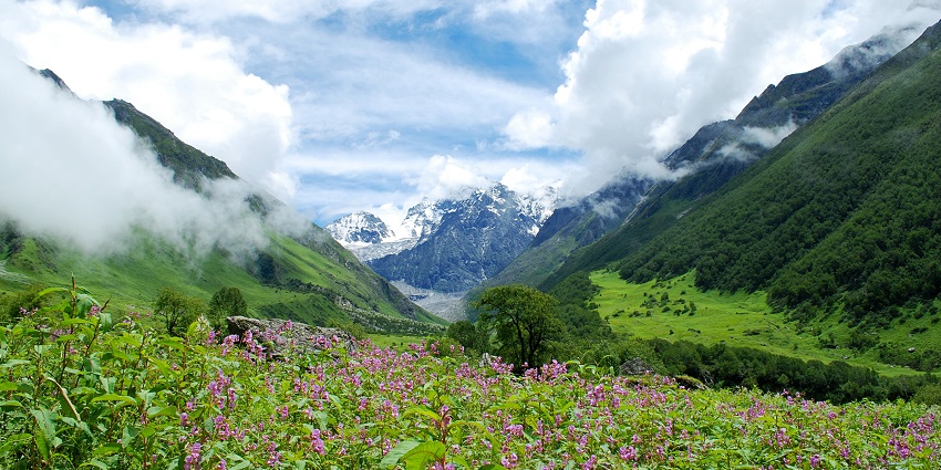 Valley of Flowers Trek is one of the exciting things to Do in Rudraprayag.