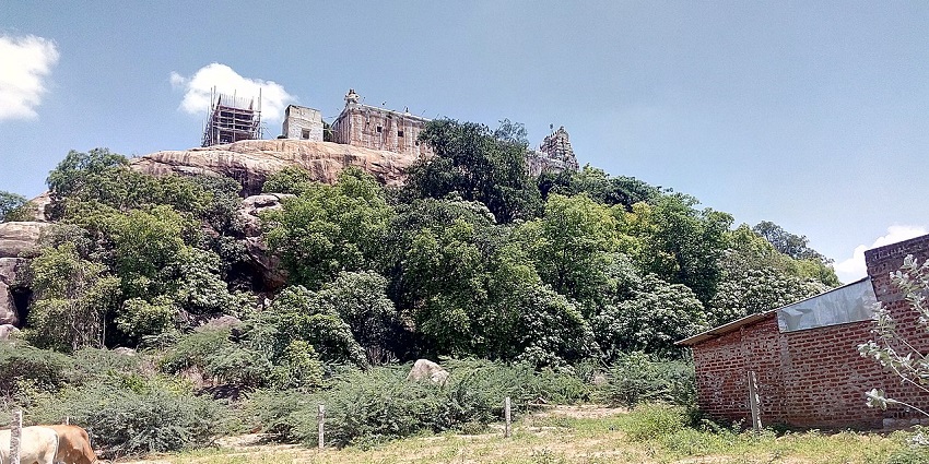 Viralimalai Murugan Temple nestled into a hilly landscape with trees and greenery.