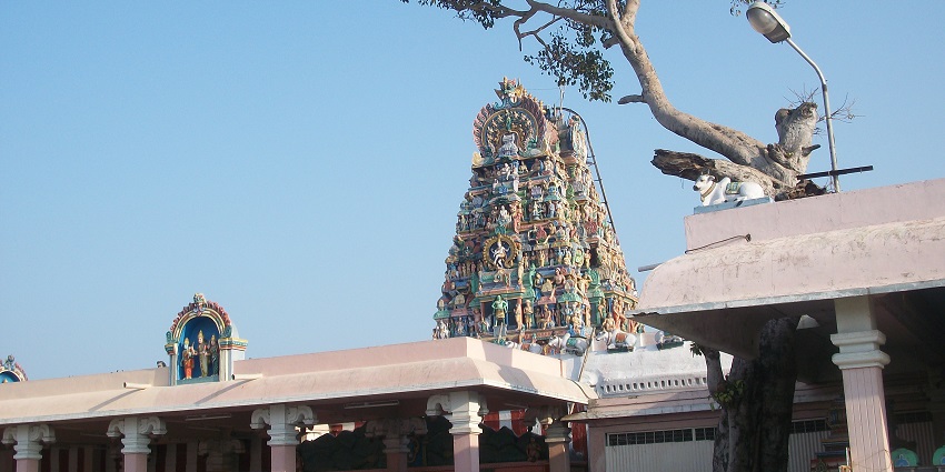 A picture of Bogar Samadhi highlighting some of the spiritual things to do in Palani.