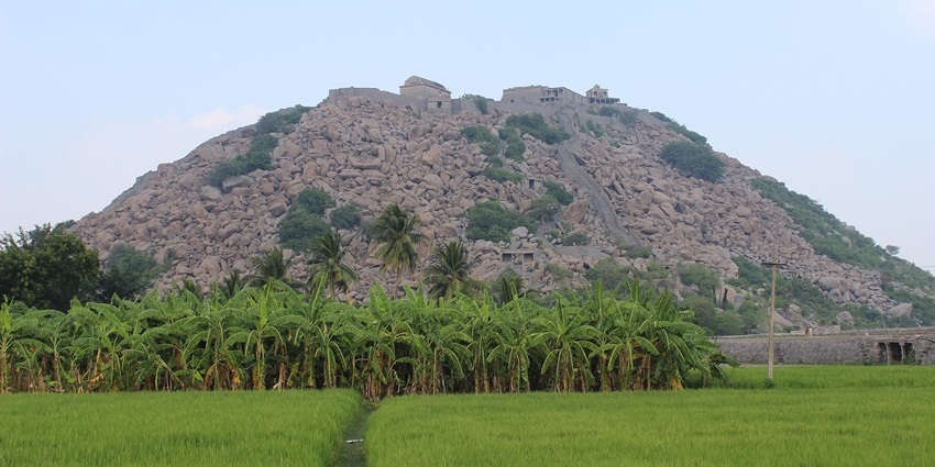 Enjoy panoramic views of the hills and lush surroundings from the Gingee Fort Viewpoint.