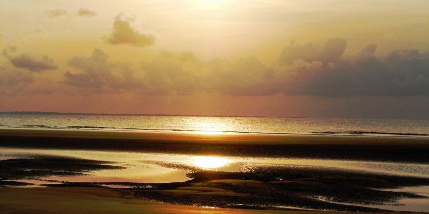 Visit Henry's Island for breathtaking views, an enjoyable thing to do in Bakkhali.