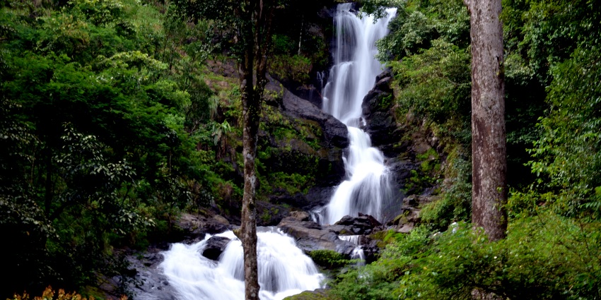 Iruppu Waterfall flowing from the dense forest of Nagarhole is the best thing to see in Nagarhole.