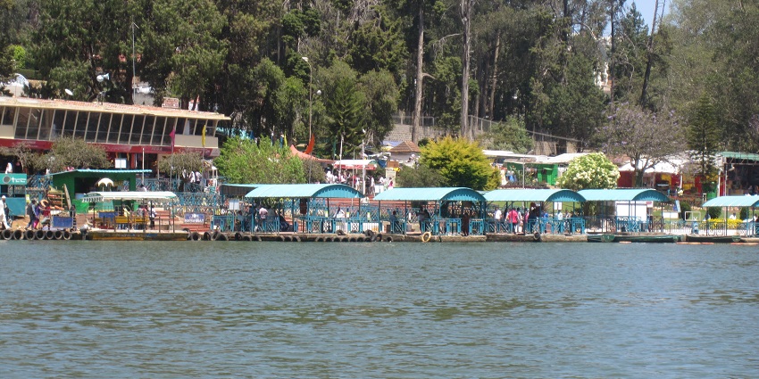 Ooty Lake, a famous place in Ooty with boat rides and surrounded by lush greenery.