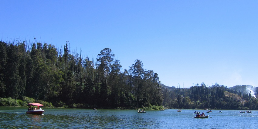 Boating on Ooty Lake under the clear sky is a relaxing thing to do in Ooty in July.