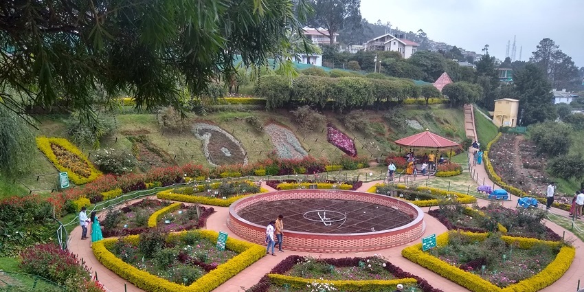 Visiting Ooty Rose Garden is one of the most amazing things to do in Tamil Nadu.