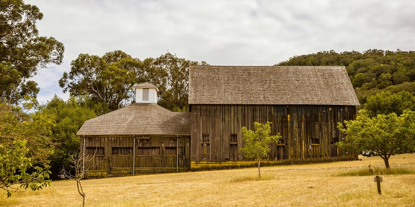 An image of an abandoned village with a wooden barn and a dome-topped hut choked trees.
