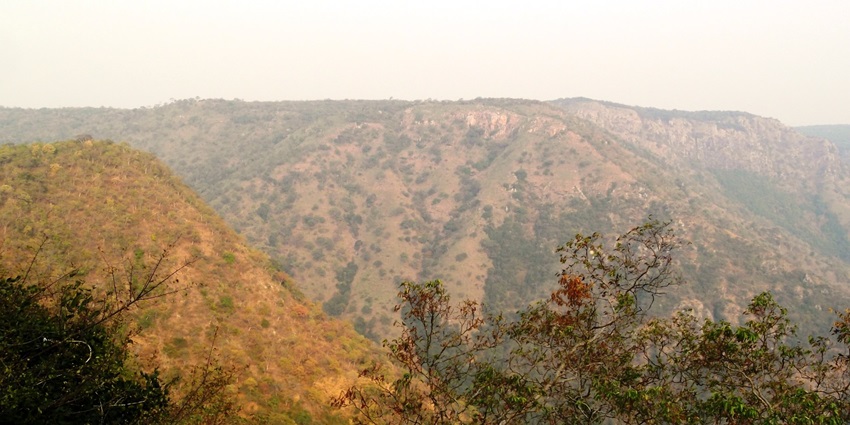 Be sure to visit Sathyamangalam Tiger Reserve, one of the best things to do in Erode.