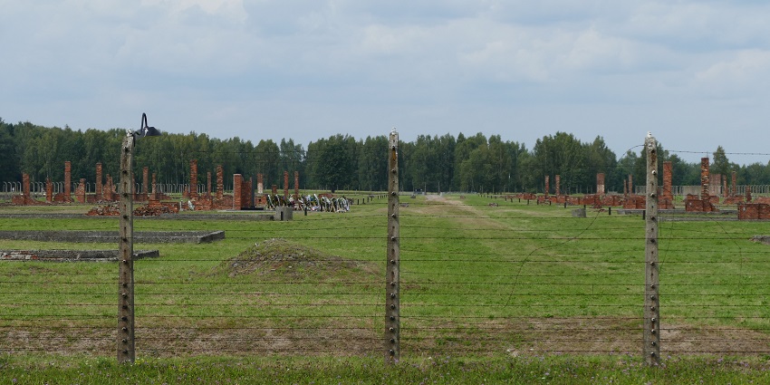 Auschwitz II camp with ruined structures, grassy land and tall trees behind the boundary.