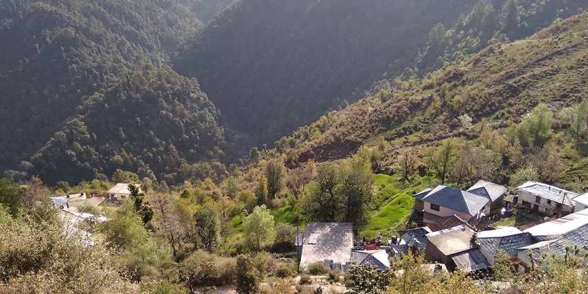 The best things to do in Kanatal include visiting village offering local culture and traditions.
