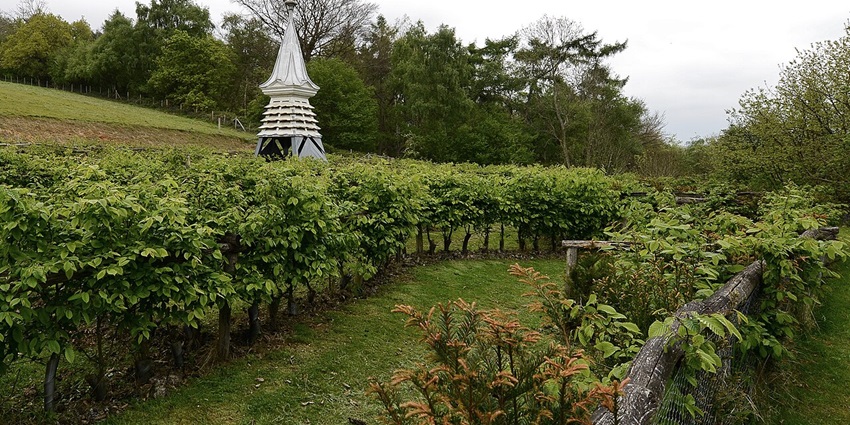 Discovering the hidden gems of the Himalayan Garden for every traveller to visit.