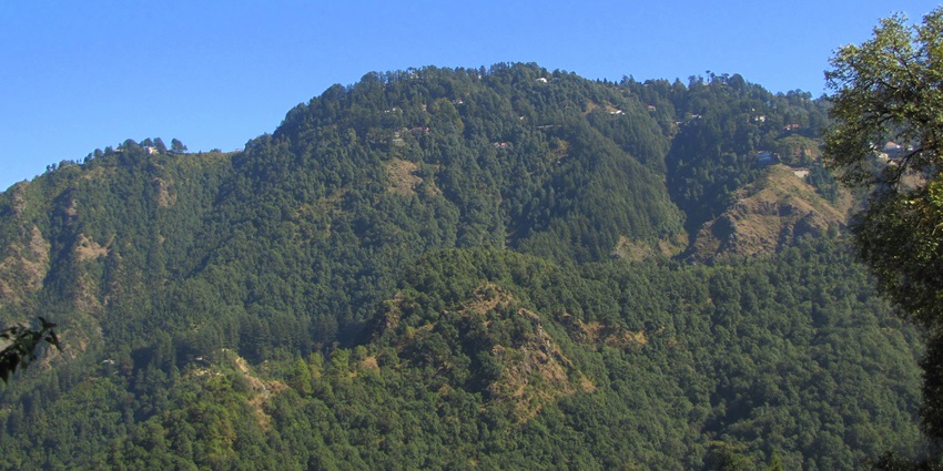 Dense jungle with wildlife and picturesque landscapes in Uttarakhand.