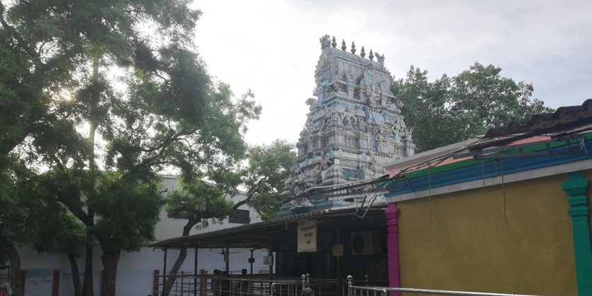 Image of putlur temple and a sacred tree beside the temple where devotees pray