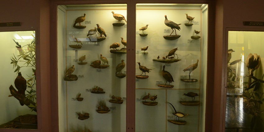 Souvenirs in the shop for tourists to buy.