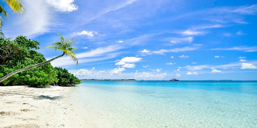Velneshwar Beach is surrounded by palm trees and natural magnificence.