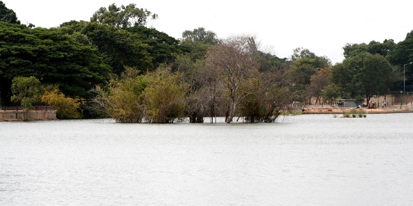 A stunning view of Sankey Tank in Malleswaram, representing the best things to do in Malleswaram.