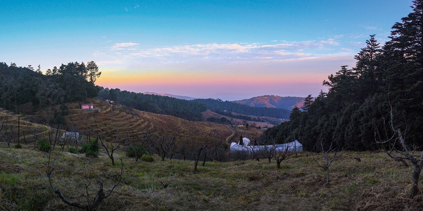 One of the best things to do in New Tehri is to stroll amidst the lush Orchards